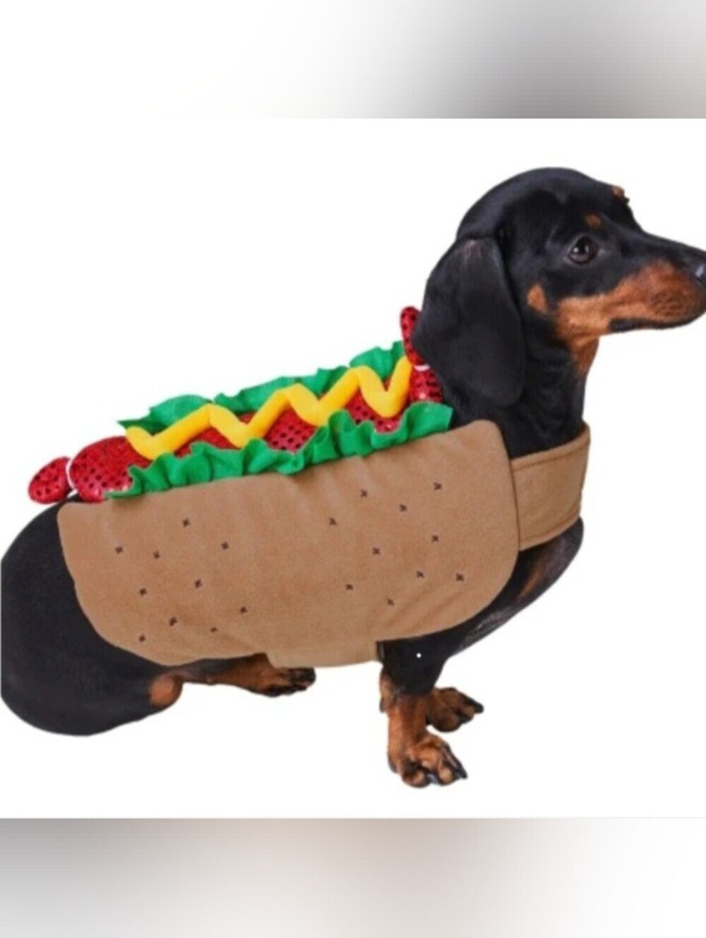 Hocus Pocus Hot Dog Weiner Dog Dachshund Halloween Costume